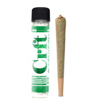 ASTRO ROCKS PRE ROLLS - 10 COUNT - TOAD VENOM